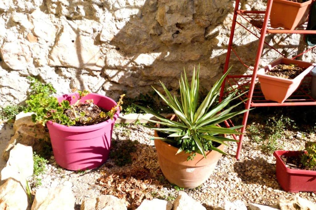 Appartement Le Loft Cosy - Centre - Cadre Royal Sète